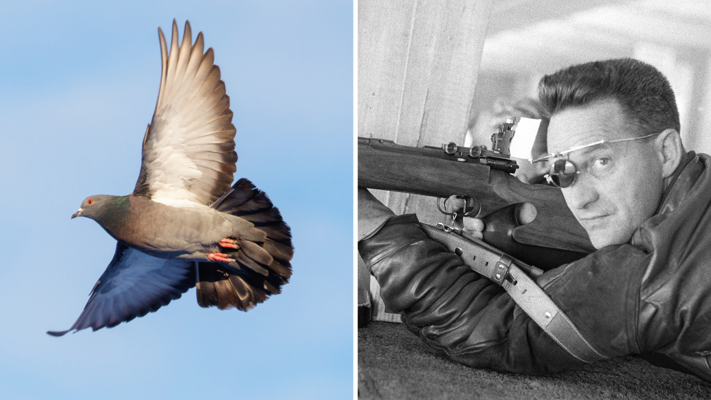 Олимпийские игры