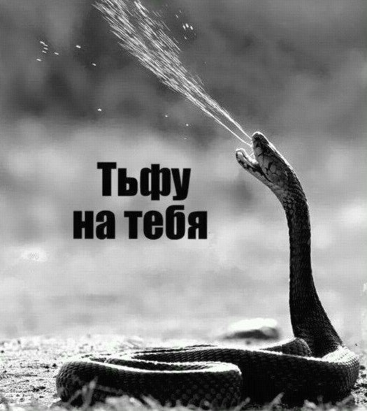Анекдоты в пятницу Анекдоты в пятницу