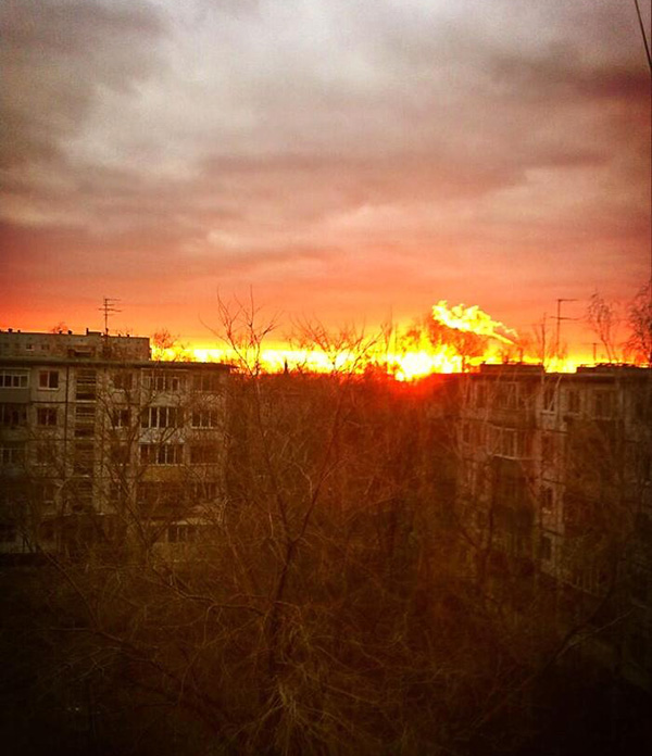 Показалось… (20 фото)