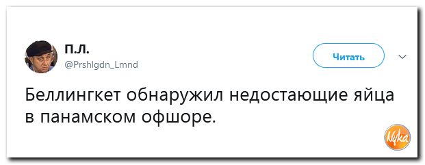 Обзор ситуации в мире с сарказмом и ехидной улыбкой Обзор ситуации в мире с сарказмом и ехидной улыбкой