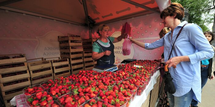 Клубнику лучше покупать летом, когда она вкусная и недорогая. / Фото: progomel.by Клубнику лучше покупать летом, когда она вкусная и недорогая. / Фото: progomel.by