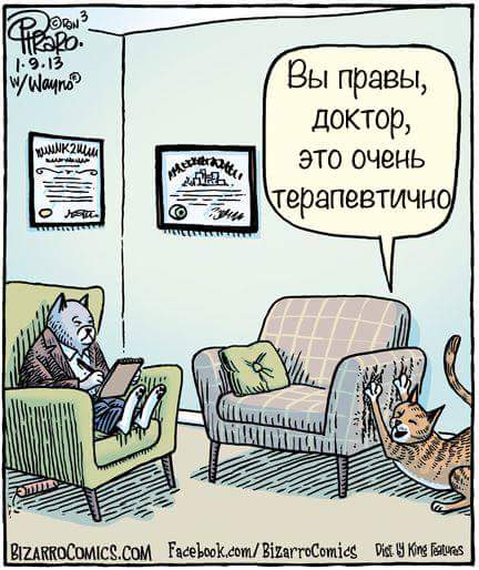 Немного котиков совсем не страшных )) Немного котиков совсем не страшных ))