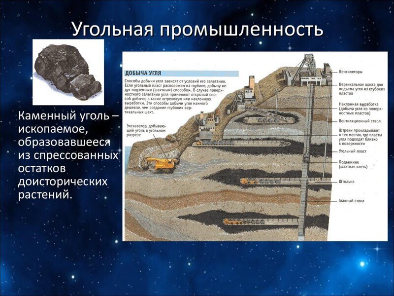 Откуда берётся... уголь?