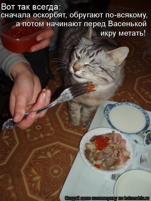 Самые уморительные котоматрицы) Самые уморительные котоматрицы)