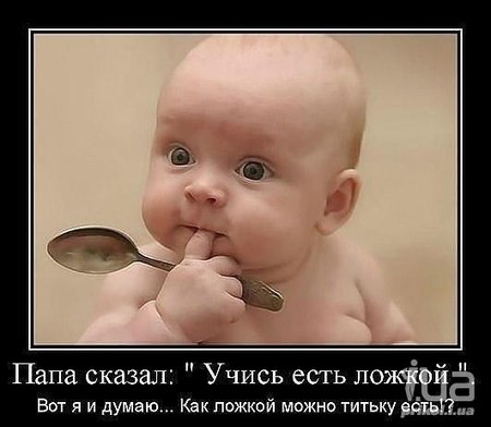 ПЕРЛЫ ДЕТЕЙ И ИХ РОДИТЕЛЕЙ. ПЕРЛЫ ДЕТЕЙ И ИХ РОДИТЕЛЕЙ.
