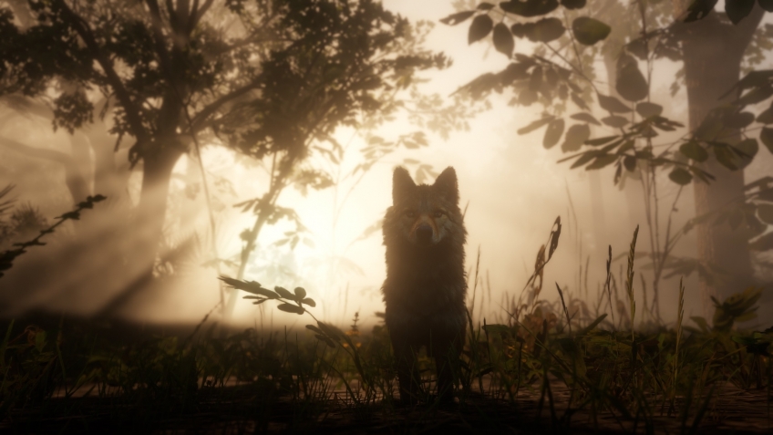 Журналисты увидели Red Dead Redemption 2 вживую — масса новых подробностей об игре Журналисты увидели Red Dead Redemption 2 вживую — масса новых подробностей об игре