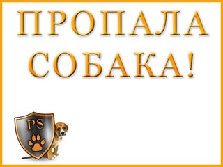 "Не заплатишь выкуп - получишь свою собаку по частям!"... "Не заплатишь выкуп - получишь свою собаку по частям!"...