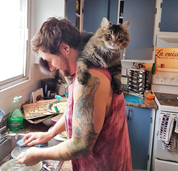 Животные, которых не так-то просто раскусить) Животные, которых не так-то просто раскусить)