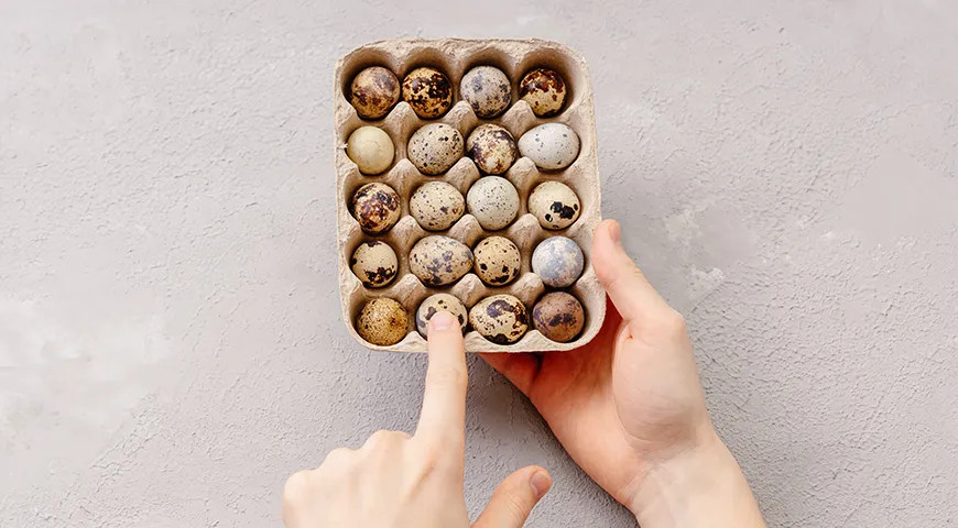 3–4 перепелиных яйца в день достаточно для поддержания здоровья 