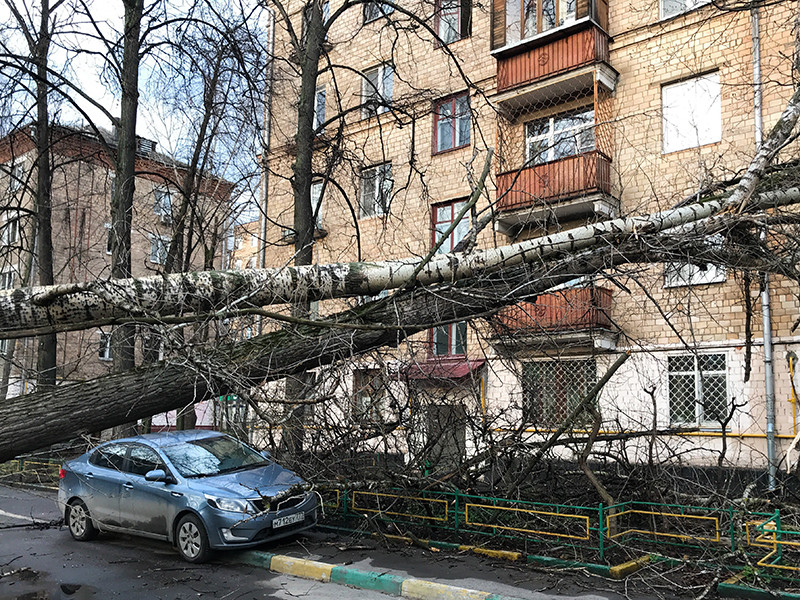 Вторая волна урагана ударила по столичному региону.