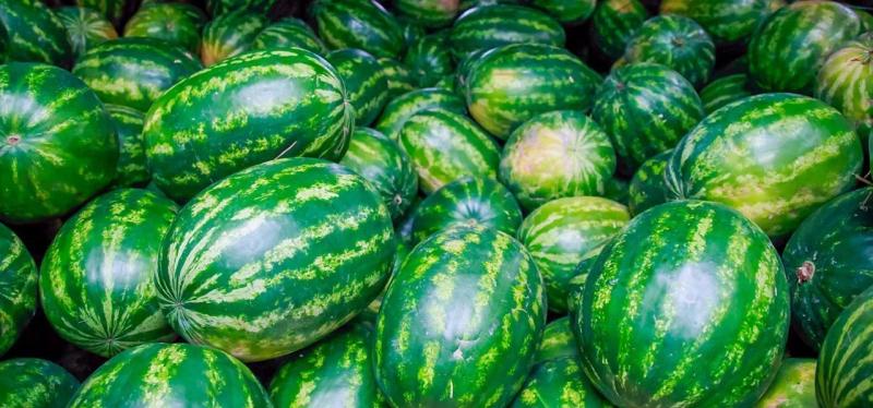 Специалисты поделились секретами выбора арбузов и дынь
