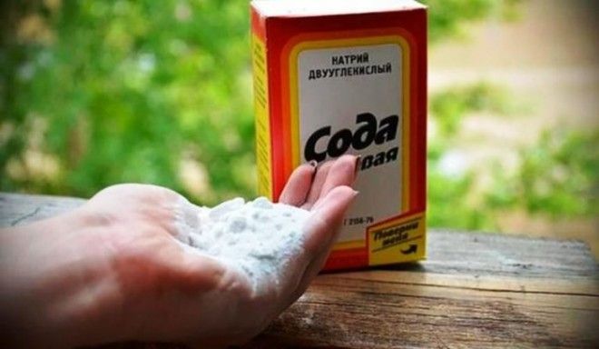 Сода едва ли не лучшее средство. Сода едва ли не лучшее средство