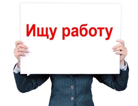 Россияне назвали лучший способ трудоустройства