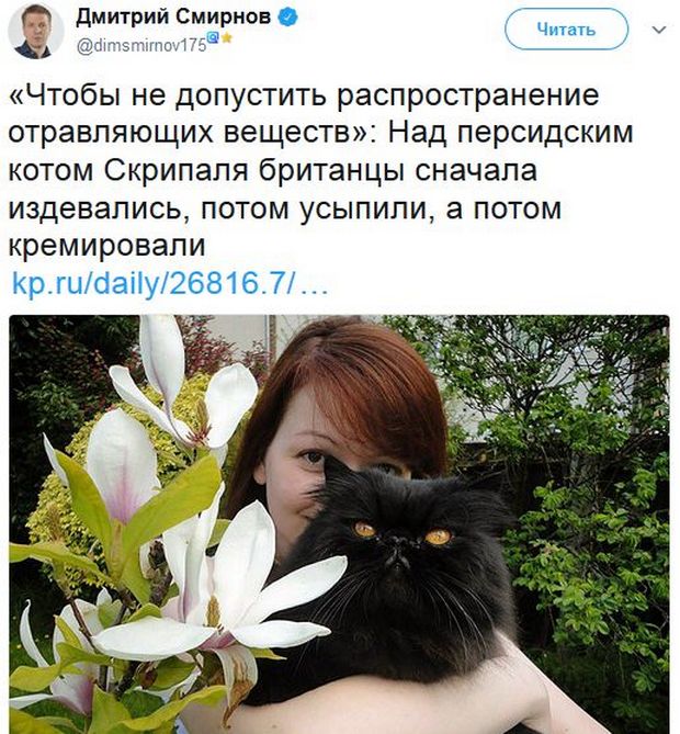 Обзор последних событий в саркастических скриншотах Обзор последних событий в саркастических скриншотах
