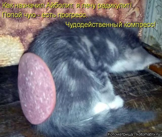 Котоматрицы для подзарядки позитивом))) Котоматрицы для подзарядки позитивом)))