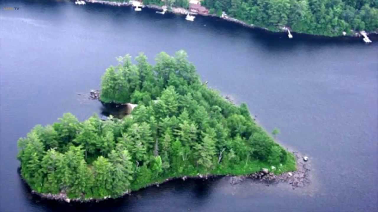 Любовь природы Любовь природы