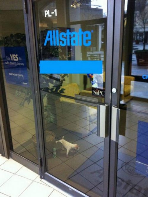 Что здесь происходит?! (26 фото) Что здесь происходит?! (26 фото)