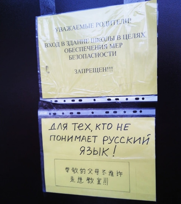 16 объявлений, содержание которых захватывает не хуже голливудского блокбастера 16 объявлений, содержание которых захватывает не хуже голливудского блокбастера