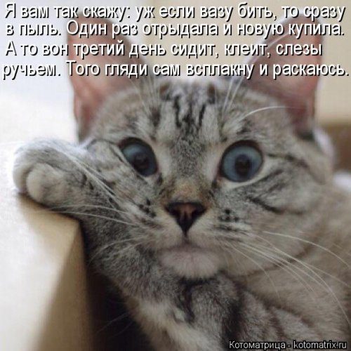 Самые уморительные котоматрицы) Самые уморительные котоматрицы)
