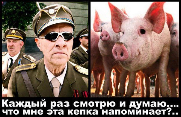 Год Свиньи - год Украины Год Свиньи - год Украины