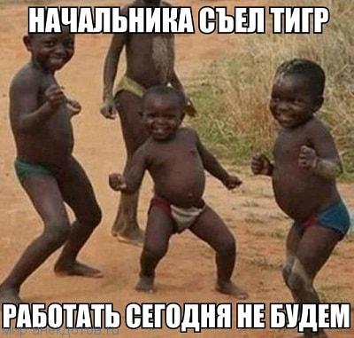 Итак…. в одном лесу Итак…. в одном лесу