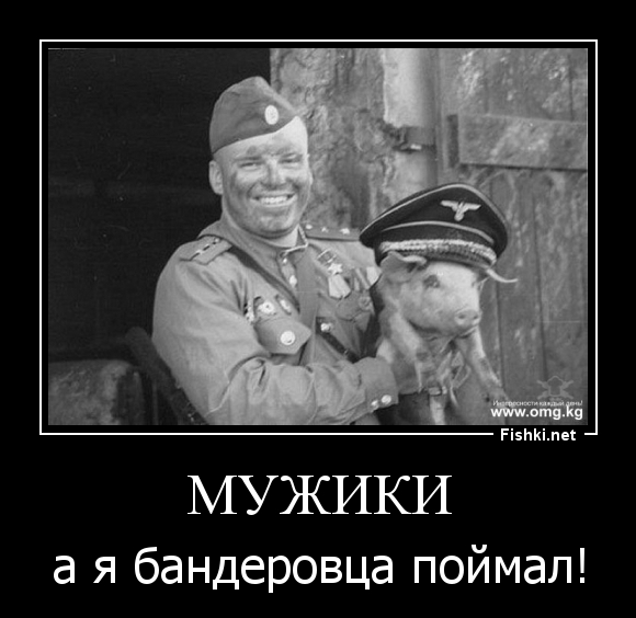 Год Свиньи - год Украины Год Свиньи - год Украины