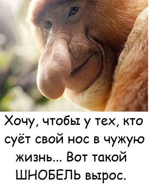22 забавных картинки. Эти мысли приходят в голову каждой женщине 22 забавных картинки. Эти мысли приходят в голову каждой женщине