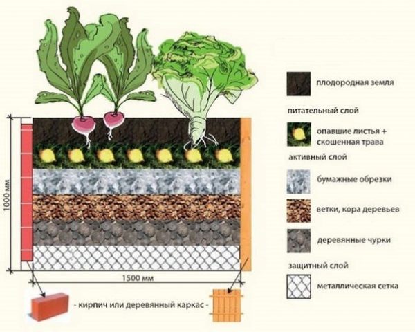 teplaia_griadka3