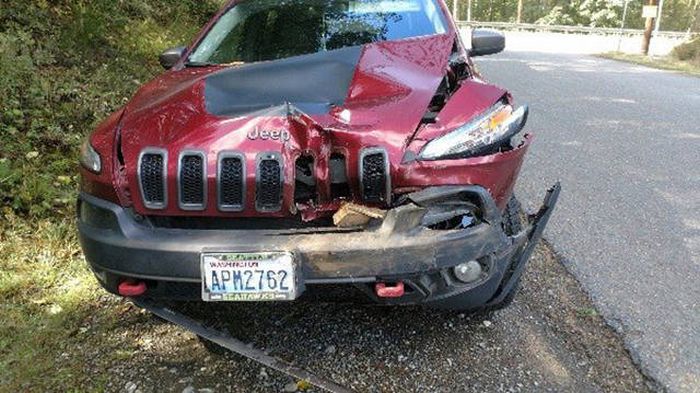 Подборка фейлов всех мастей (33 фото) Подборка фейлов всех мастей (33 фото)