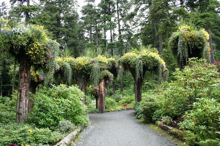   Glacier Gardens  