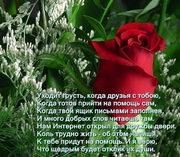 Слова другу в прозе Слова другу в прозе