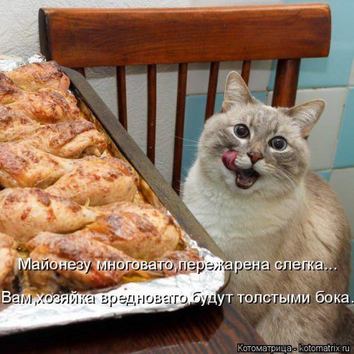Самые уморительные котоматрицы) Самые уморительные котоматрицы)