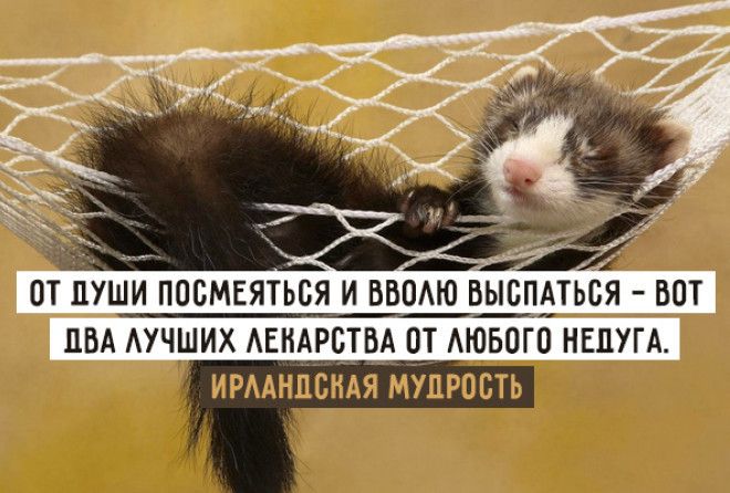 Этот народ знает как надо жить!
