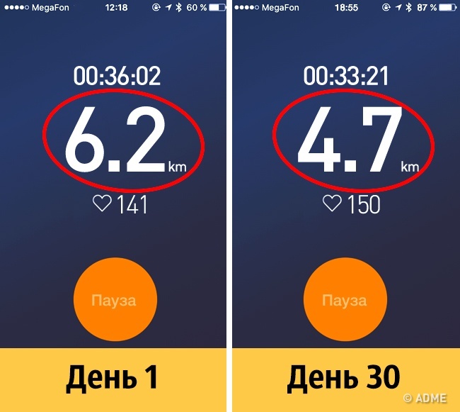 Мы проверили, что будет, если часто пить пиво Мы проверили, что будет, если часто пить пиво