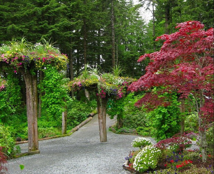 Ботанический сад Glacier Gardens на Аляске Ботанический сад Glacier Gardens на Аляске