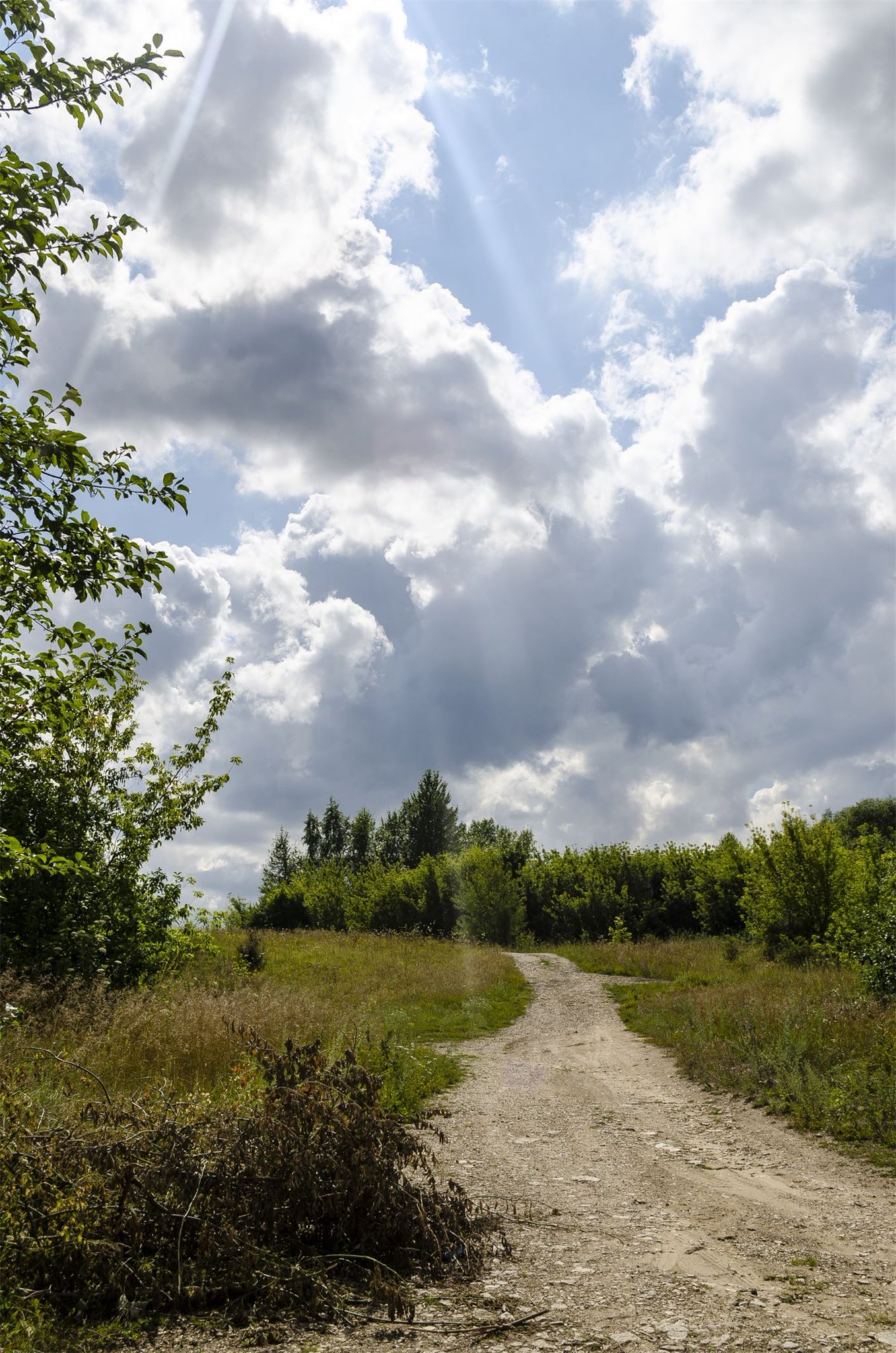 Природа России 35