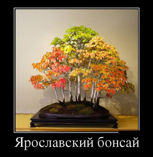 Демотиваторы отличной подборочкой для хорошего настроения!!! Демотиваторы отличной подборочкой для хорошего настроения!!!
