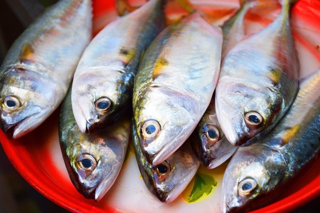 Как засолить скумбрию: 6 вкусных способов