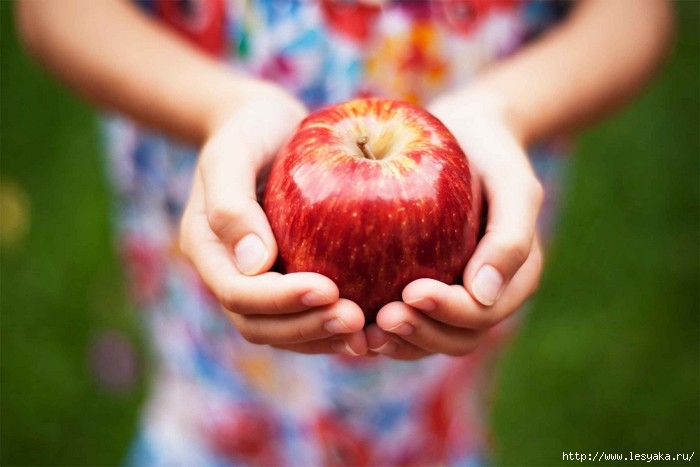3925073_appleusesnovate2 (700x467, 138Kb)