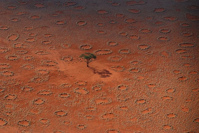 10 загадок пустыни, над которыми учёные до сих пор ломают головы