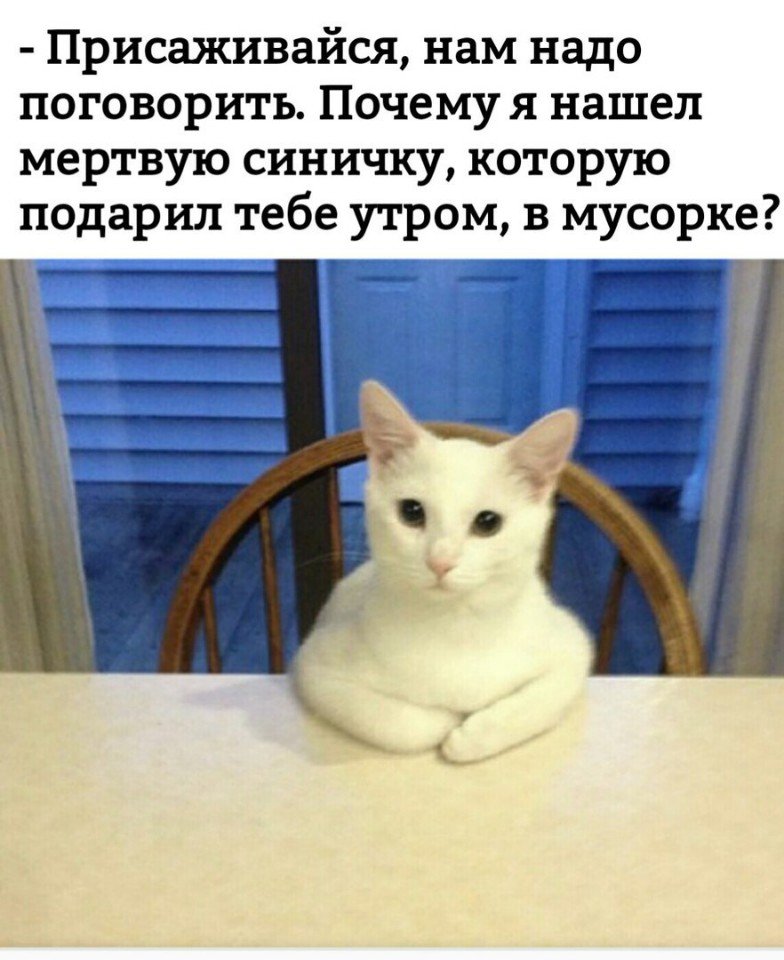 Юмор из интернета 136 Юмор из интернета 136