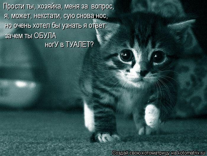 Мысли вслух :)