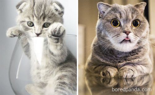 Очаровательная коллекция фотографий из серии «тогда и сейчас» Очаровательная коллекция фотографий из серии «тогда и сейчас»