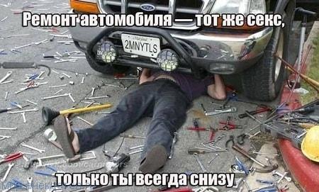 Итак…. в одном лесу Итак…. в одном лесу