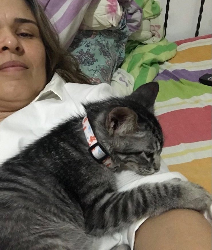 "В нашем доме не будет кота! Мама запретила оставлять котенка, но что-то пошло не по плану... "В нашем доме не будет кота! Мама запретила оставлять котенка, но что-то пошло не по плану...