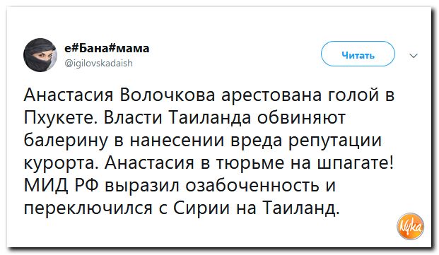 Политсатира в ехидных картинках Политсатира в ехидных картинках