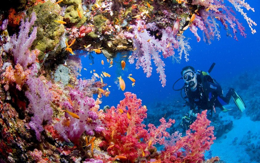 10 фактов о Красном море