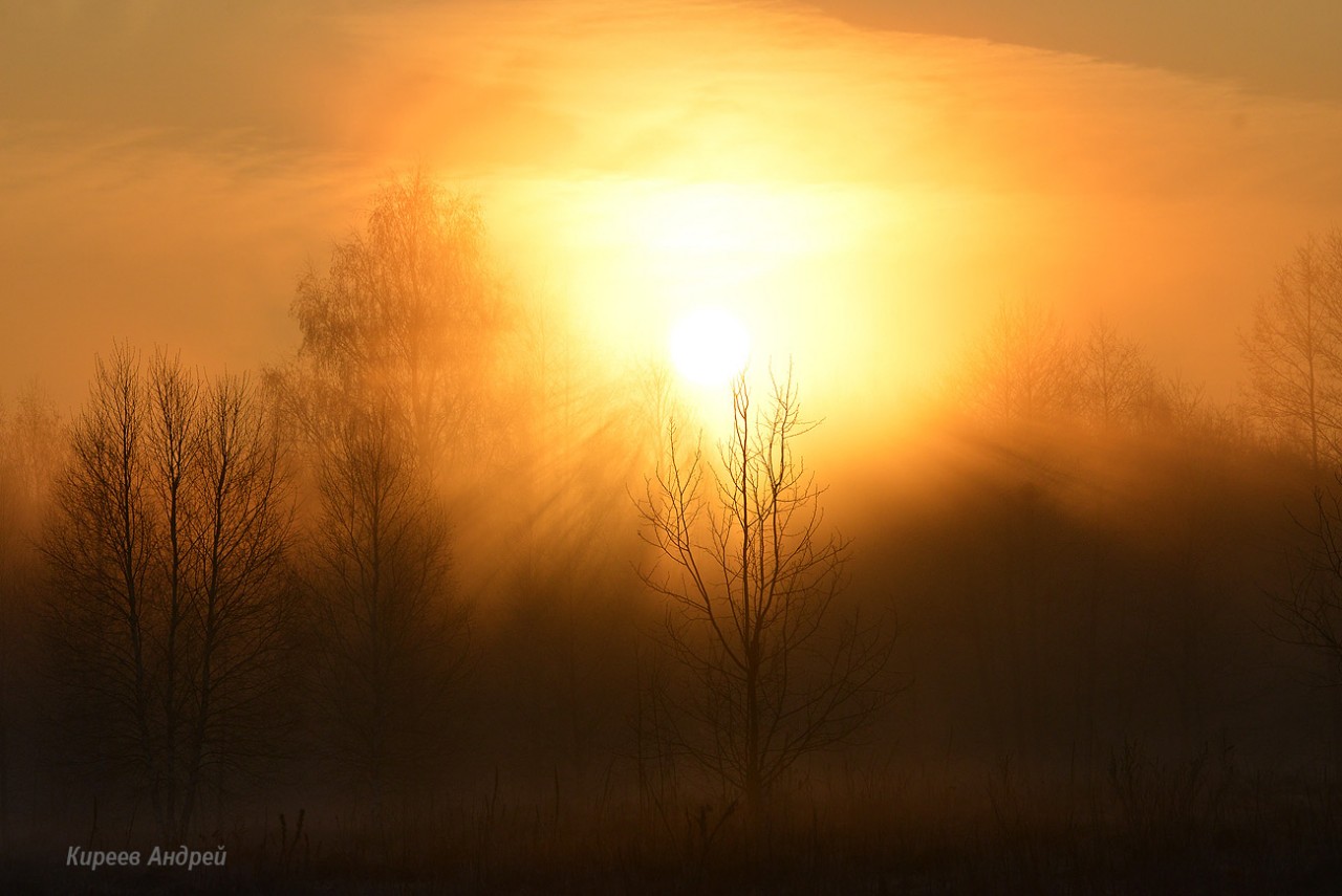 DSC_7947копия.jpg DSC_7947копия.jpg