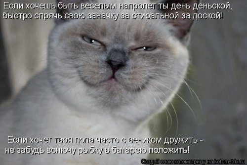 Самые уморительные котоматрицы) Самые уморительные котоматрицы)