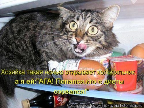 Самые уморительные котоматрицы) Самые уморительные котоматрицы)